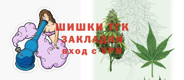 бошки Новодвинск