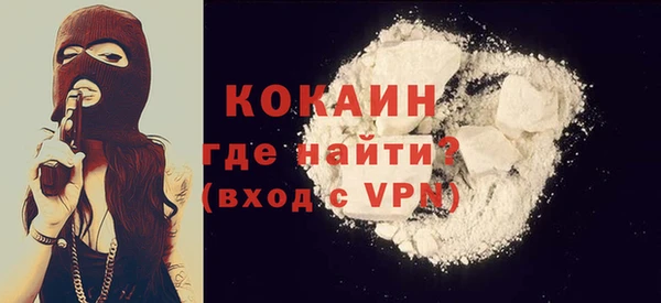 СК Новозыбков