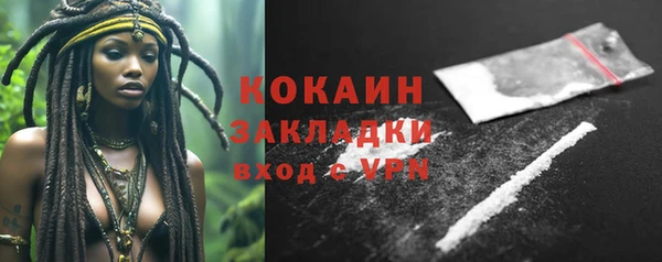 СК Новозыбков