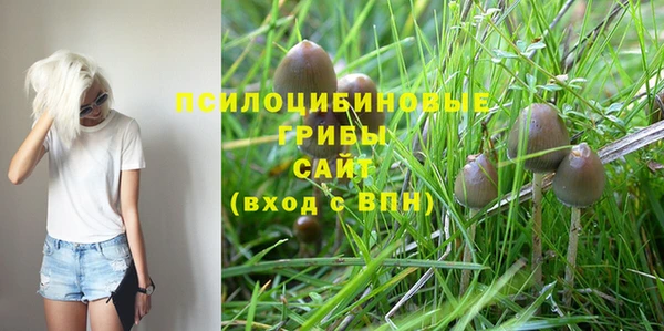 крисы Белая Холуница