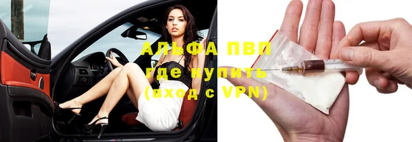 СК Новозыбков