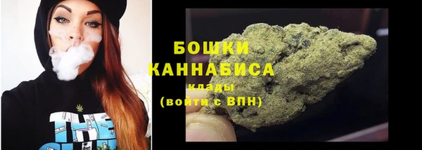 бошки Новодвинск