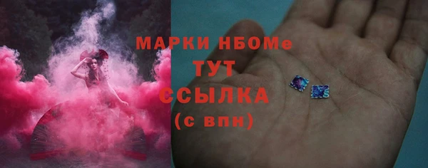 СК Новозыбков