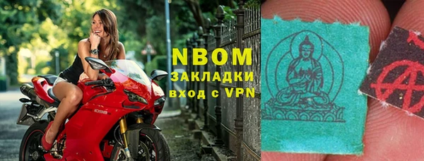 СК Новозыбков