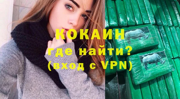 СК Новозыбков