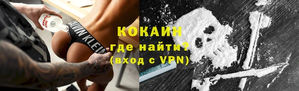 СК Новозыбков