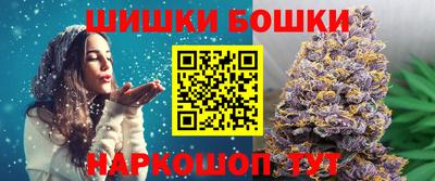 крисы Абакан