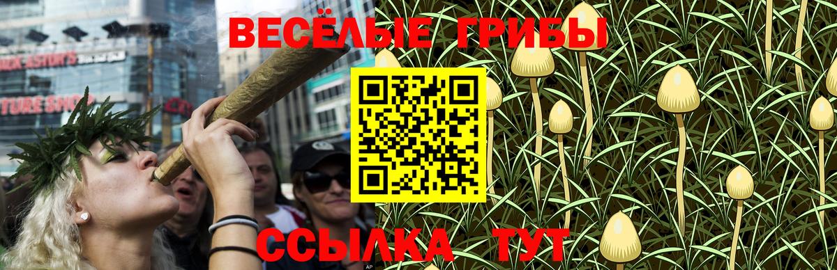 Псилоцибиновые грибы Psilocybine cubensis  Вход с VPN  Галлюциногенные грибы Psilocybe  Вольск 