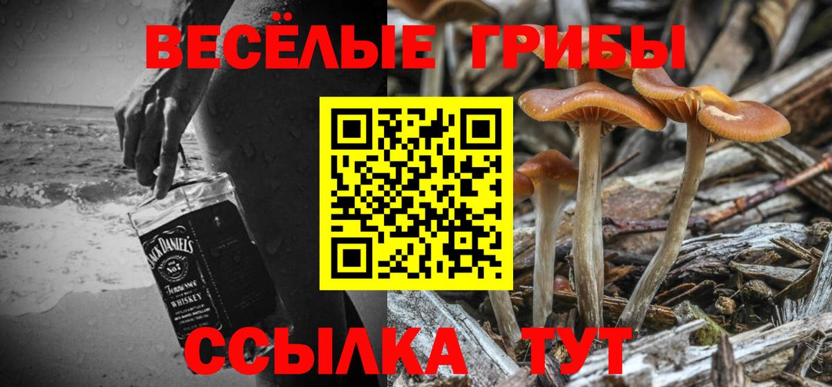 Галлюциногенные грибы Cubensis Вольск